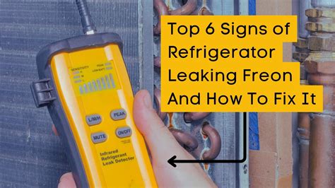 signs of freon leak in refrigerator|How to Tell if Freon is Leaking in a Fridge: In 6 Easy。